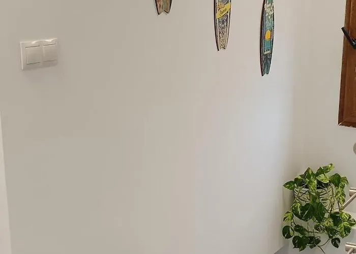 La Tadorna * 苏安塞斯