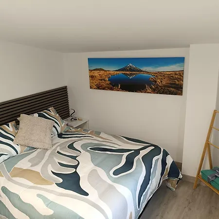 La Tadorna * スアンセス